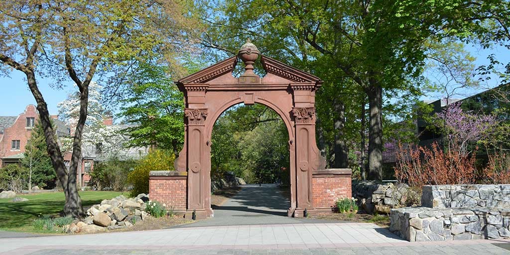 Tiger Battalion (Princeton-extension)