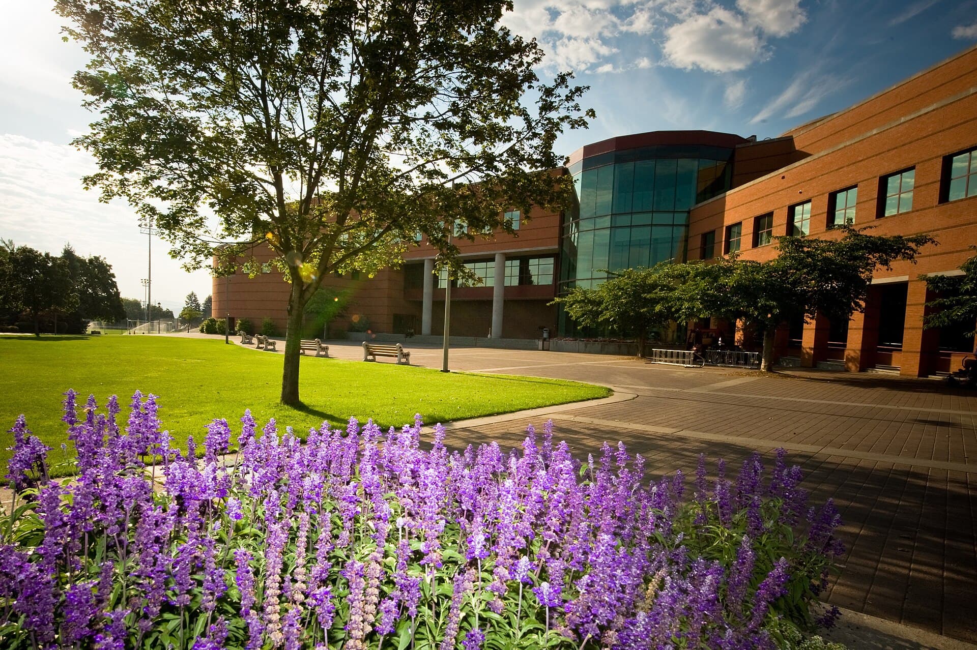 Gonzaga University campus