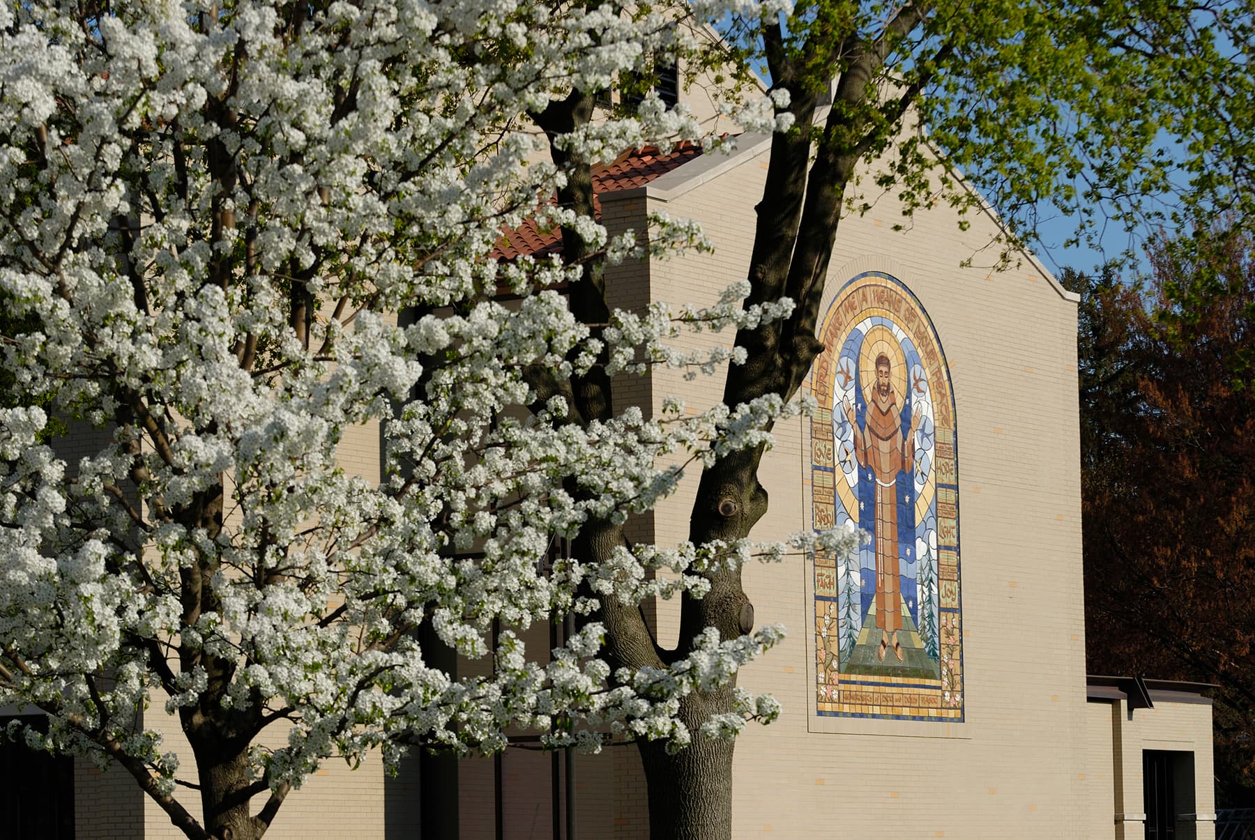 Lourdes University campus