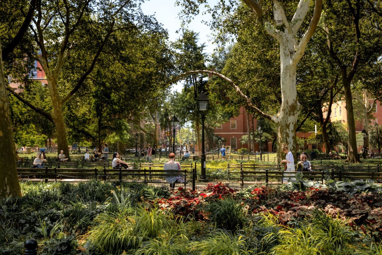 New York University campus