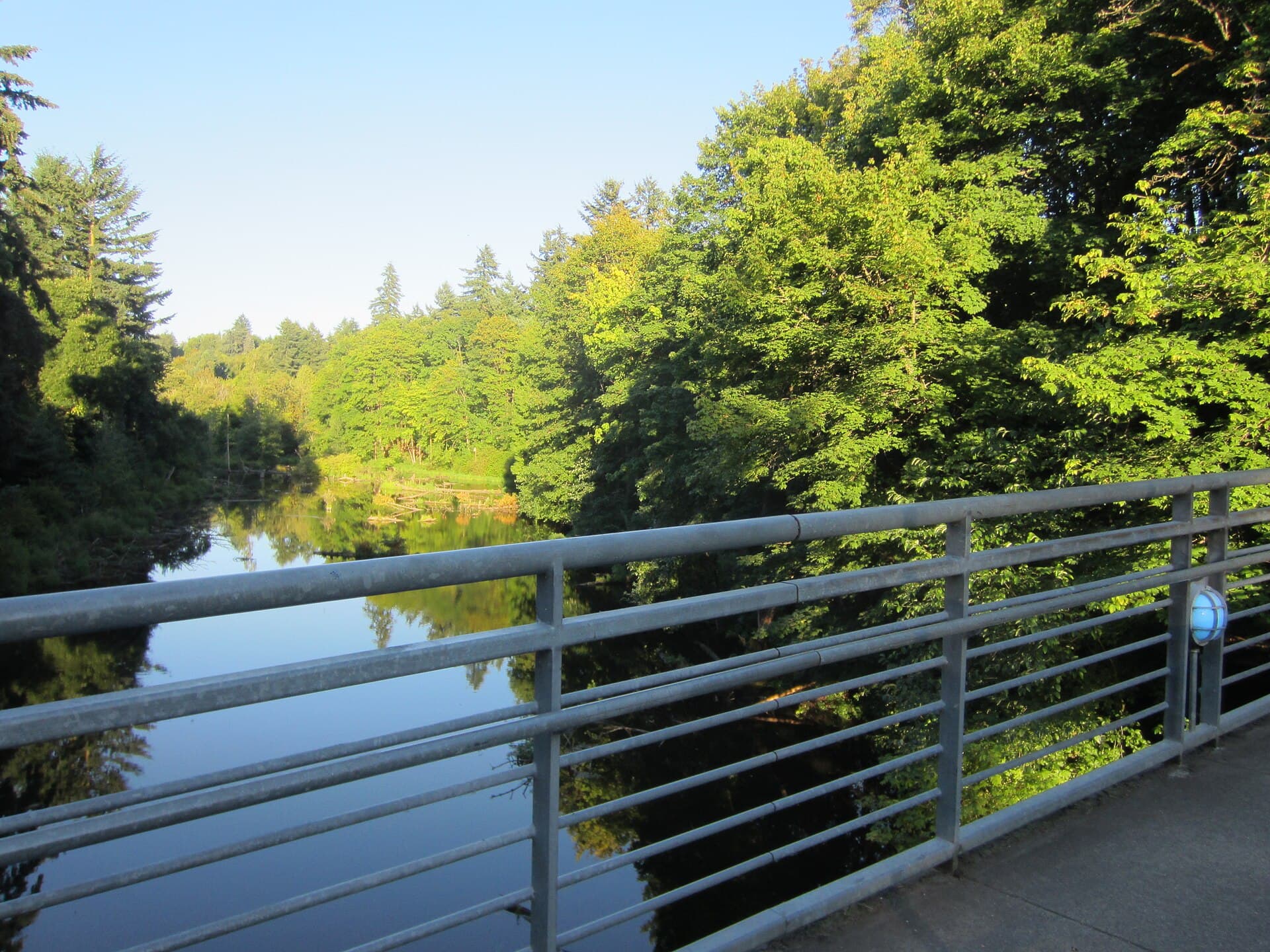 Reed College campus