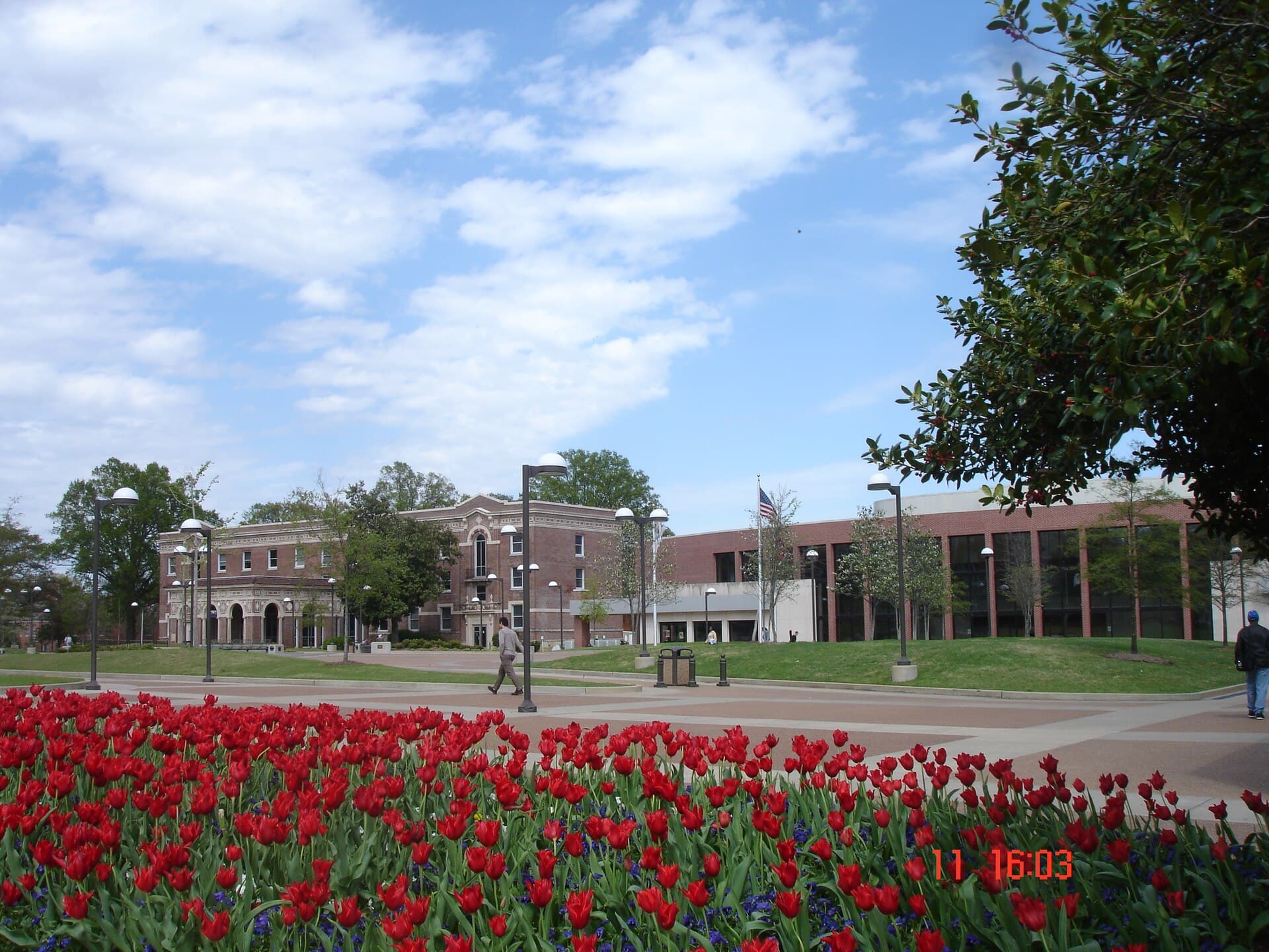 University of Memphis campus