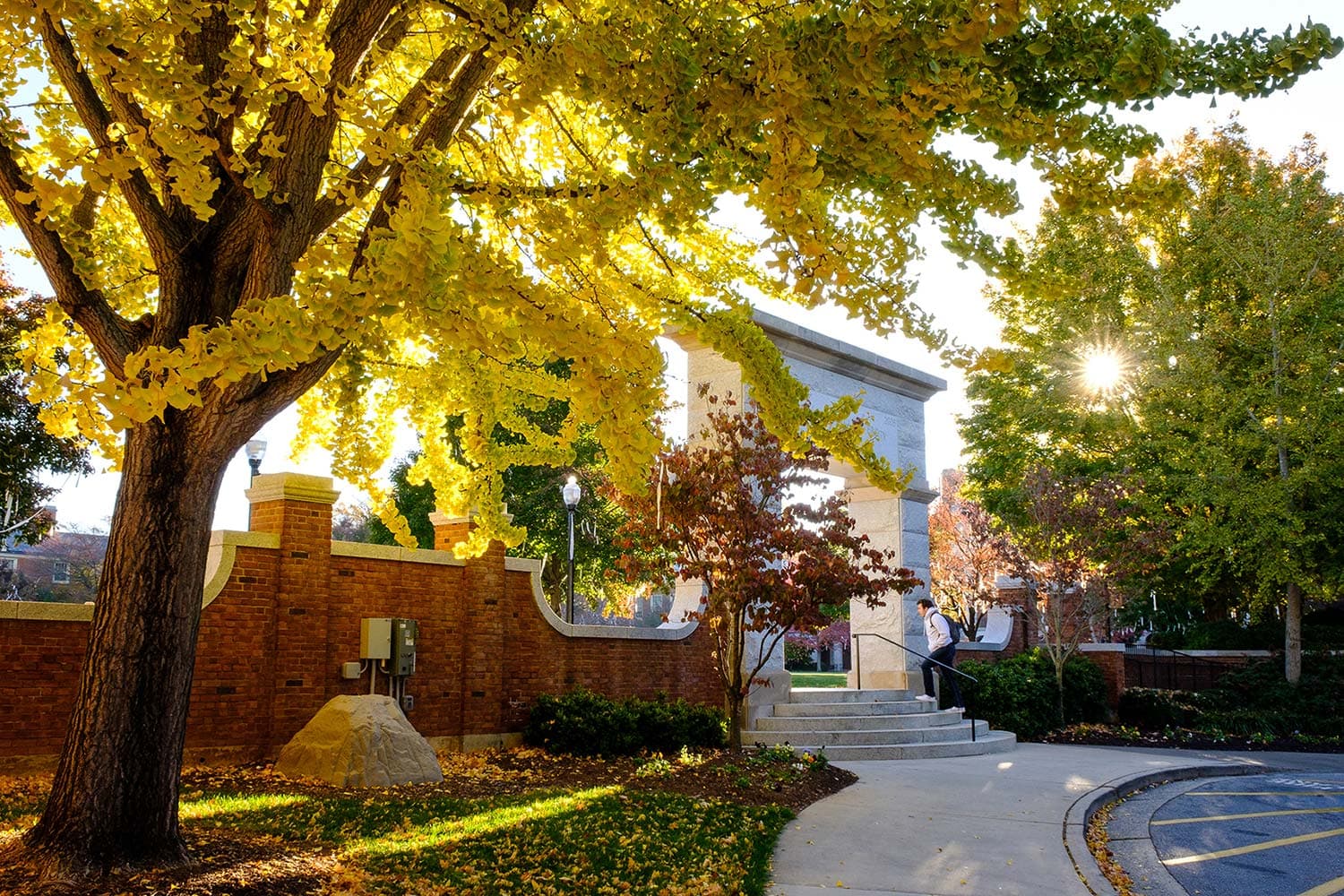 Wake Forest University campus